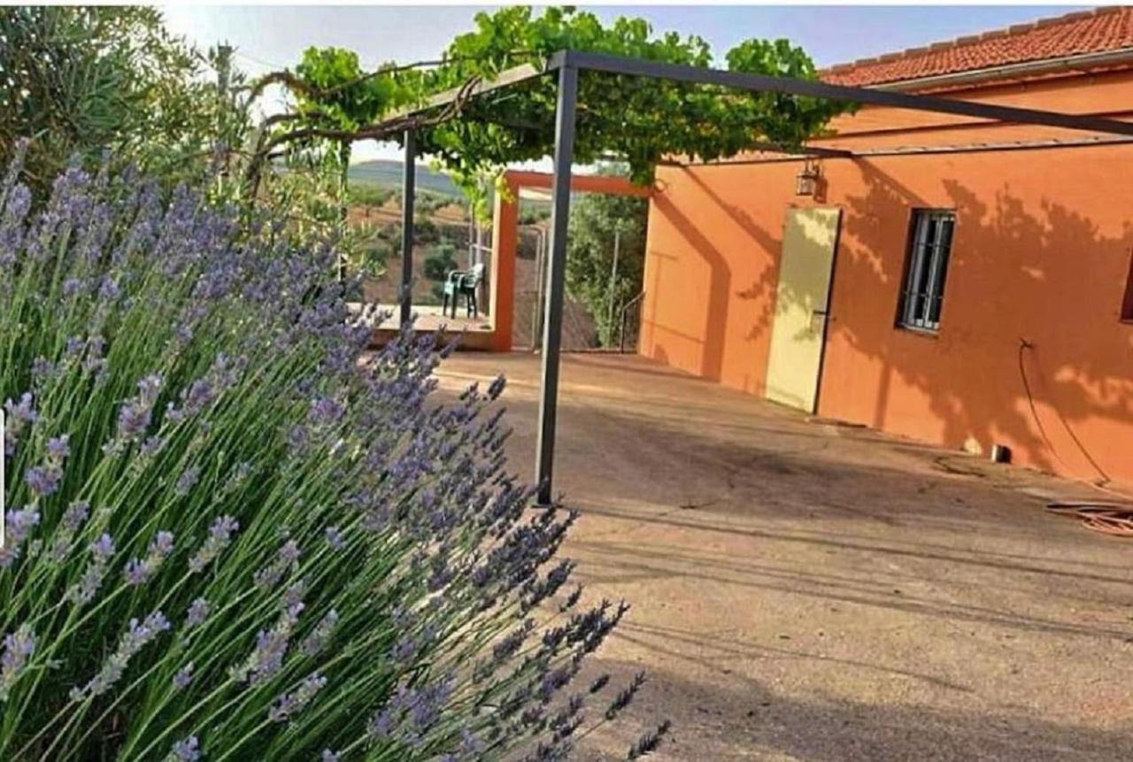 Cortijo Puente Alhama Villa Alhama de Granada Eksteriør billede